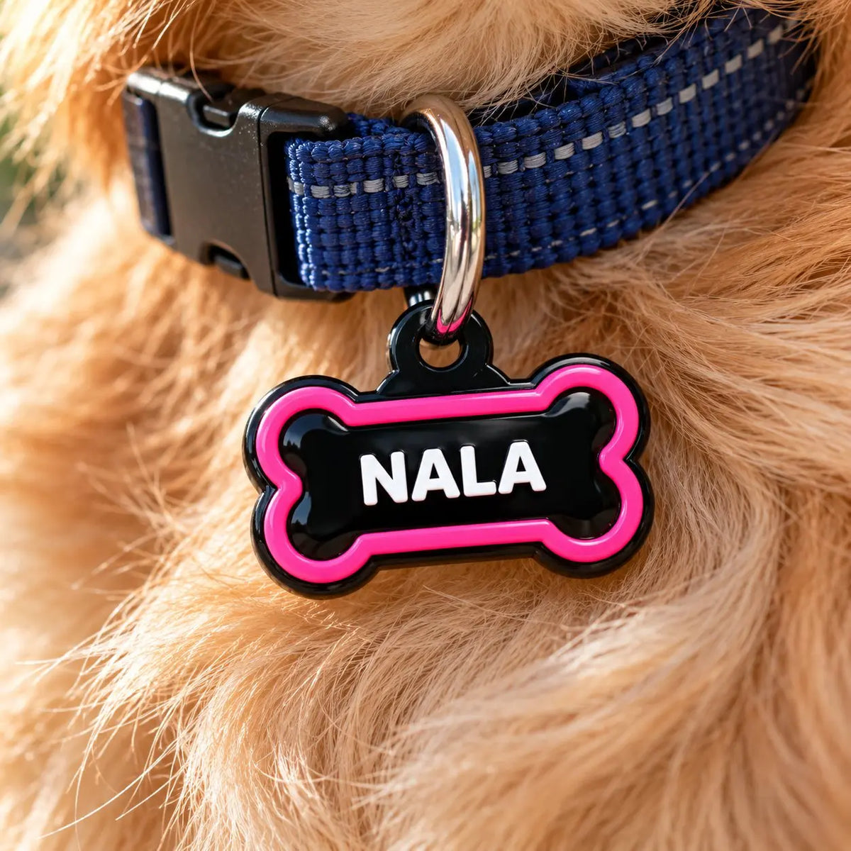 Médaille personnalisée pour chien en forme d'os rose NALA accrochée à un collier bleu